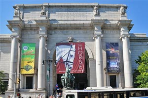 American Museum of Natural History