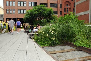 The High Line